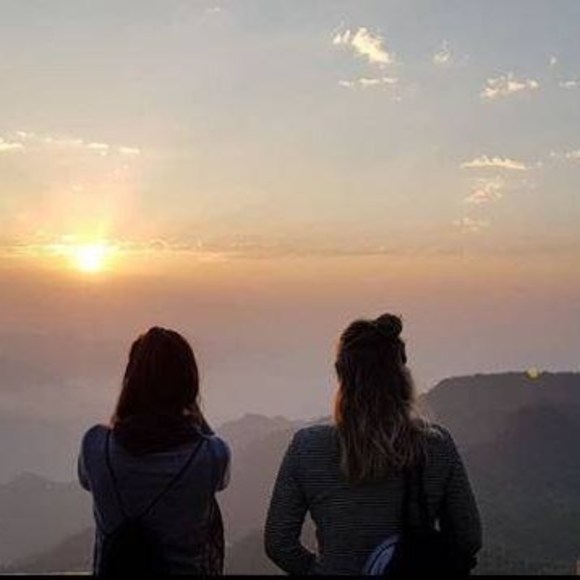 Meet your Posher, Ivy - Picture 1 of 1